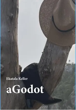 Capa do livro aGodot